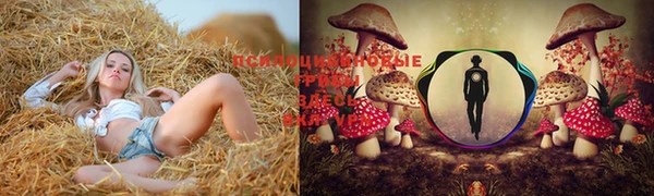 таблы Заводоуковск