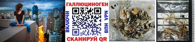 Купить где Алексеевка Галлюциногенные грибы Psilocybe