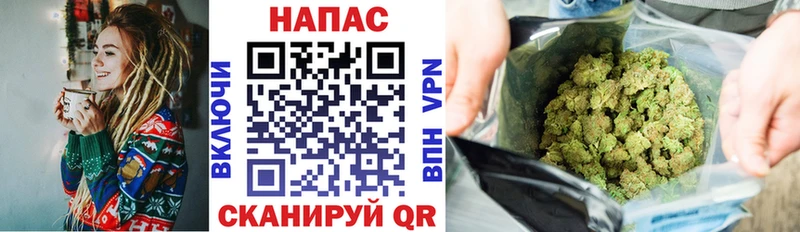 Купить где  Алексеевка  Шишки марихуана ГИДРОПОН 